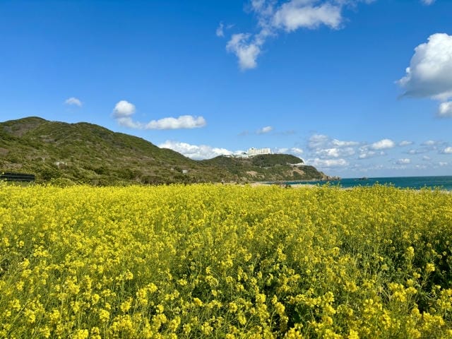 ゴルフ会員権の魅力と選び方、成功する投資の秘訣とは？